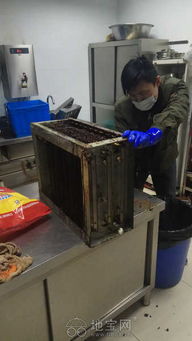 油煙機與冰箱專業維修保養服務