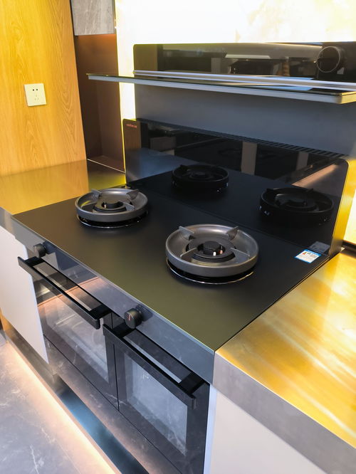 廚房家電選擇指南 獨立購置與集成產品的利弊分析